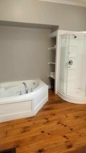 Beside The Tulip Tree