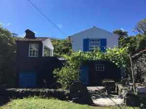 Adega guest house - Capelo