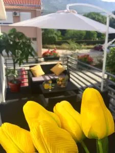 Sunflower - Kastel Gomilica