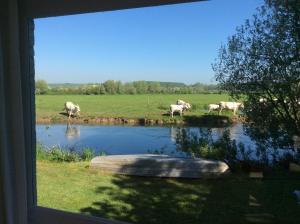 Maisons de vacances Gite at 105 : photos des chambres