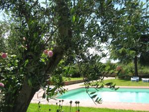 Agriturismo Poderino