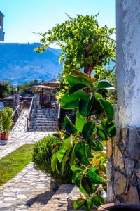 Corali Studios & Portobello Apartments Lasithi Greece