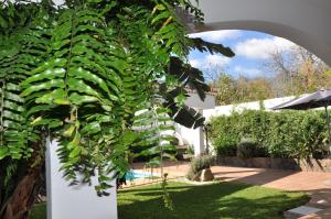 Bonita casa cálida para el relax con wifi