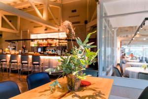 Hotel Palacio Urgoiti