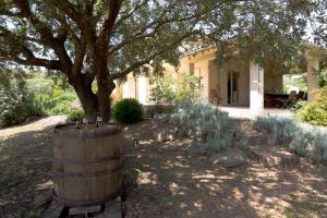 Villas Villa bord de mer avec piscine chauffee : photos des chambres