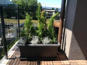 Mar Baltico Palanga Apartment