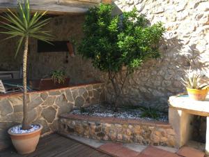 Appartements Jardin de Palme : photos des chambres