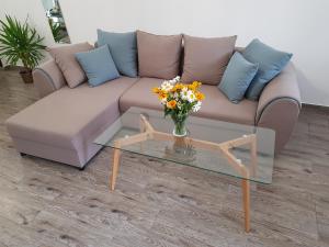 Sielski Apartament II