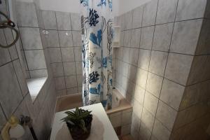 Apartment Morena