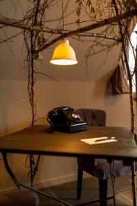 B&B / Chambres d'hotes Domaine Tarbouriech, Demeure & Spa : photos des chambres