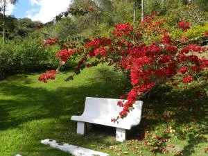 Pousada Cheiro de Mato - Estação Doutor Carlos Norberto