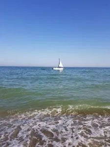 Gold Bugaz Apartment near the sea - Ternovka