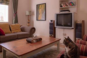 The Cherry Stone Country House