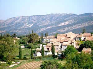 B&B / Chambres d'hotes Oustau du Ventoux : photos des chambres