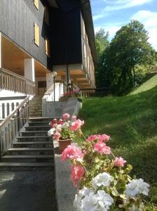 Appartamento con vista sul Cimone