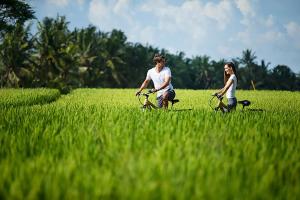 Jalan Goa Gajah, Tengkulak Kaja Ubud, Gianyar Bali 80571, Indonesia.