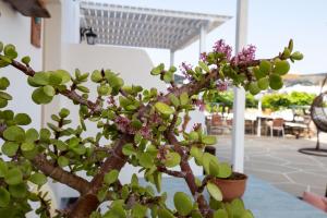 Irini pension Sifnos Greece