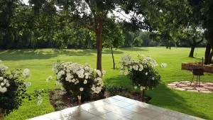 Ibis Nest - Heidelberg