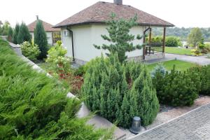 Family Room with Terrace room in Vesyolaya Rochsha