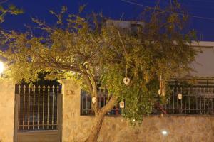 Villa Vanilla Korinthia Greece