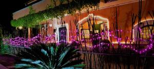 Casale Terra Sole B&B