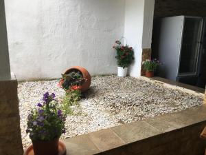 Hotel Aggeliki Skopelos Greece