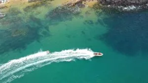 道尔顿香蕉酒店 - Hastings