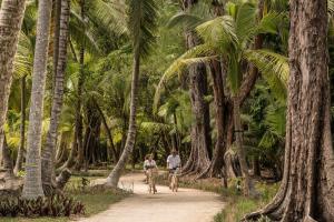 Petite Anse, Baie Lazare, PO Box 1397, Victoria, Mahe, 0000 Desroches, Seychelles.