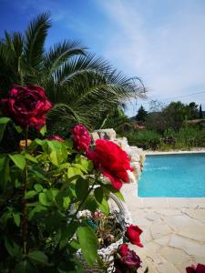 Maisons de vacances gite de la Rose : photos des chambres