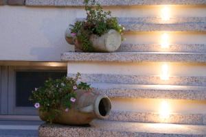 La rosa dei venti img68