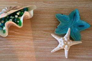 La rosa dei venti img76