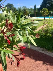 Maison d'Hôtes Villa Roffa photo 24