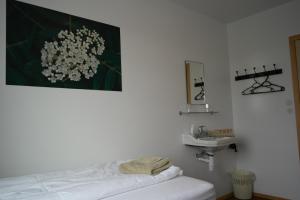 Eidavellir Apartments and Rooms