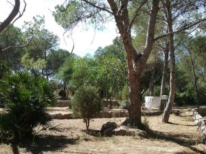 Villa Biancaluna img20