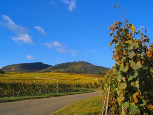 Campings Camping Les Trois Chateaux : photos des chambres