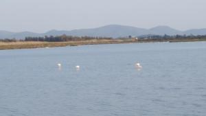 Sogno Sulcitano Masainas img92