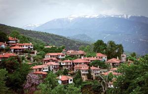 Anastasia Chalatsogianni Rooms Olympos Greece