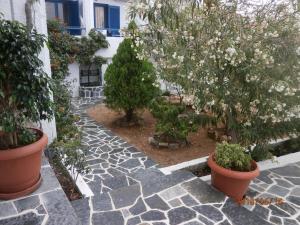 Hotel Flisvos Agistri Greece
