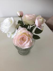 Cassiopeia Apartament