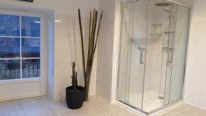 B&B / Chambres d'hotes La Morgiane : photos des chambres