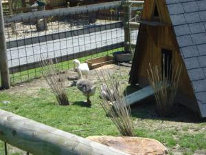 Campings Camping Saint Michel : photos des chambres