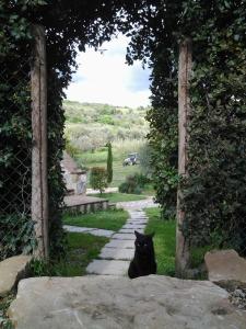 Agriturismo Casa Fibbianello