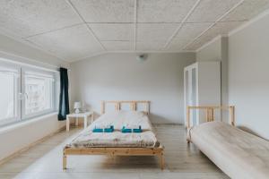 Apartamenty i pokoje na Złotej