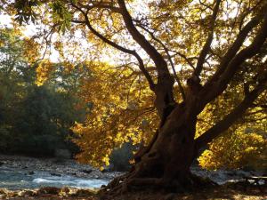 Xani Hotel Zagori Greece