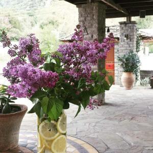 Xani Hotel Zagori Greece