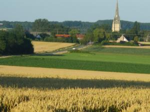 B&B / Chambres d'hotes La Vallee des Trois Monts : photos des chambres