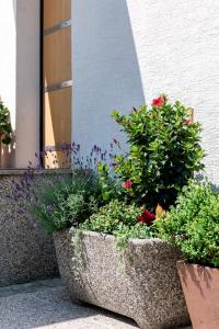 Rožna Dolina Apartment