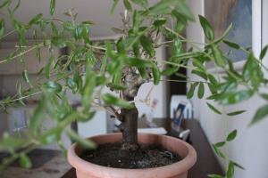 A Casa di Paola B&B Lecce