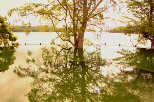 Laguna Quexil, Desarrollo de Tayasal Flores, Petén, Guatemala.