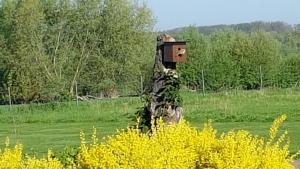 Ferienwohnung "Am Grün"